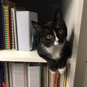 Meet your Posher, Joan